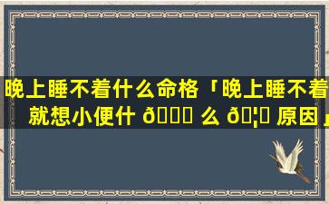 晚上睡不着什么命格「晚上睡不着就想小便什 💐 么 🦄 原因」